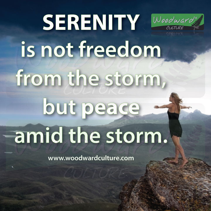 Serenity is not freedom from the storm