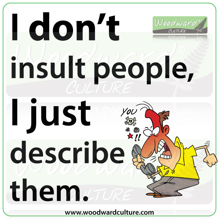 I don't insult people, I just describe them - Funny Quotes by Woodward Culture.