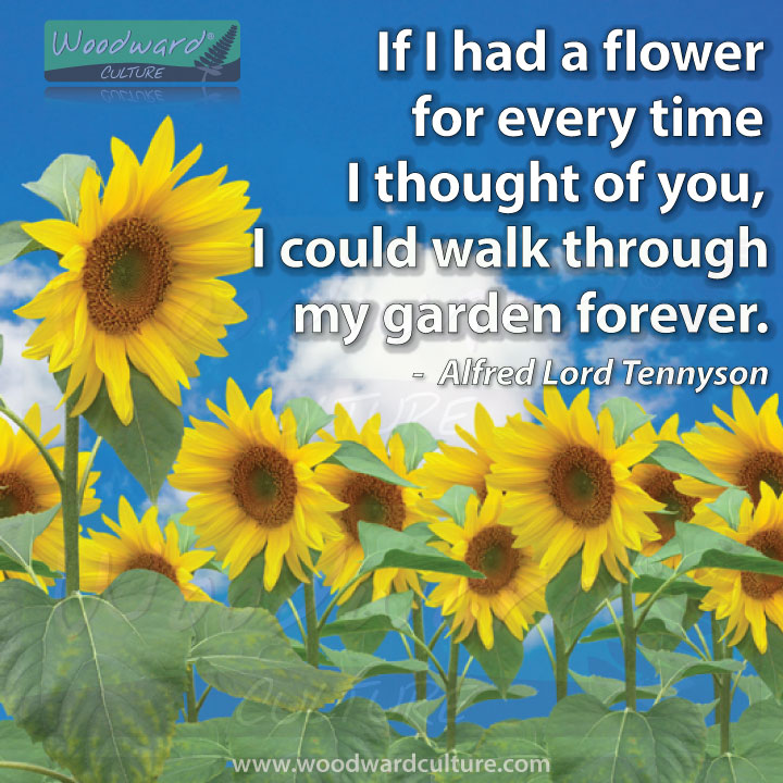 If I had a flower for every time I thought of you, I could walk through my garden forever. Quote by Alfred Lord Tennyson - Woodward Culture Quotes