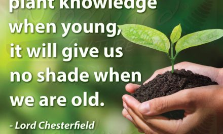 If we do not plant knowledge when young