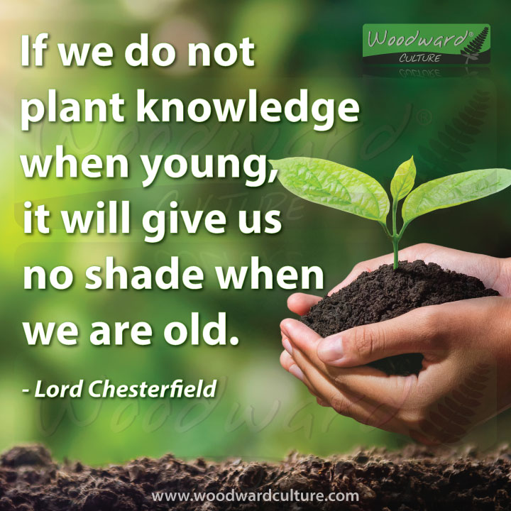 If we do not plant knowledge when young, it will give us no shade when we are old. Quote by Lord Chesterfield - Woodward Culture Quotes