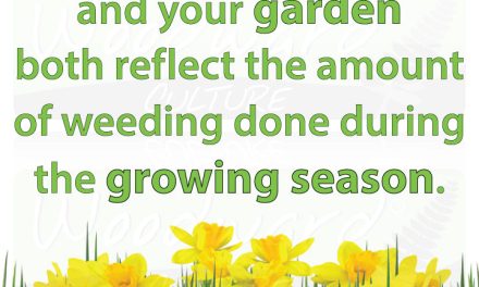 Your children and your garden