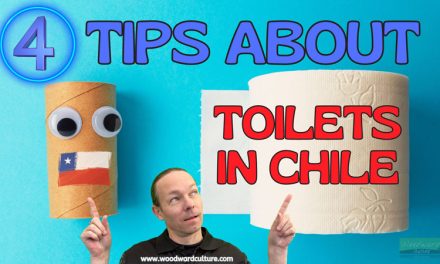 4 Tips about Toilets in Chile