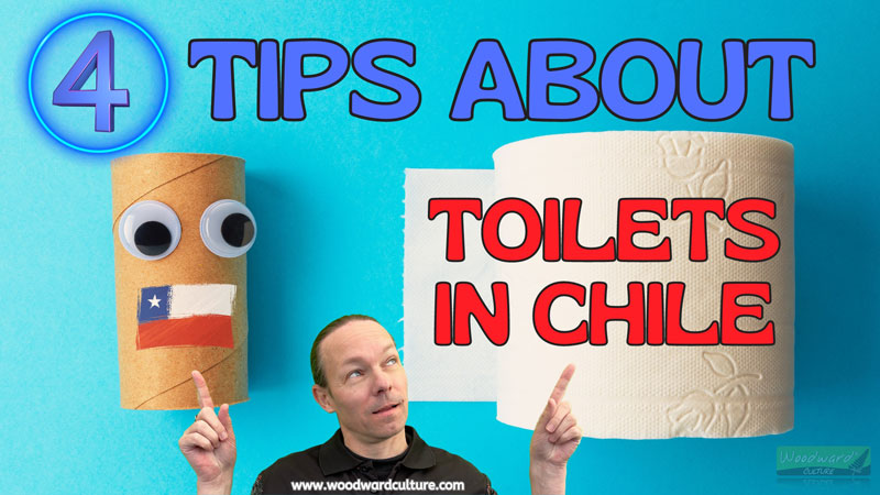 4 Tips about toilets in Chile - 4 things you need to know about going to the toilet in Chile - Woodward Culture