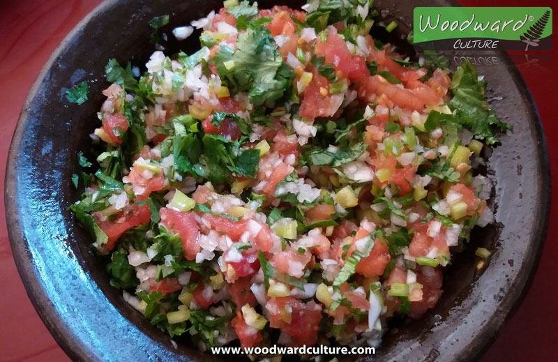 Chilean PEBRE in a clay dish - Typical Chilean Food - Woodward Culture