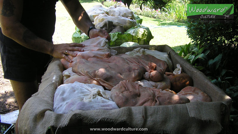 Hangi food before it goes into the ground - New Zealand - Woodward Culture Travel Guide
