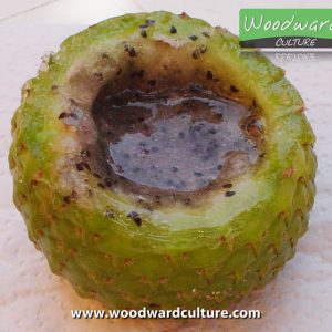 Fruit | Woodward Culture