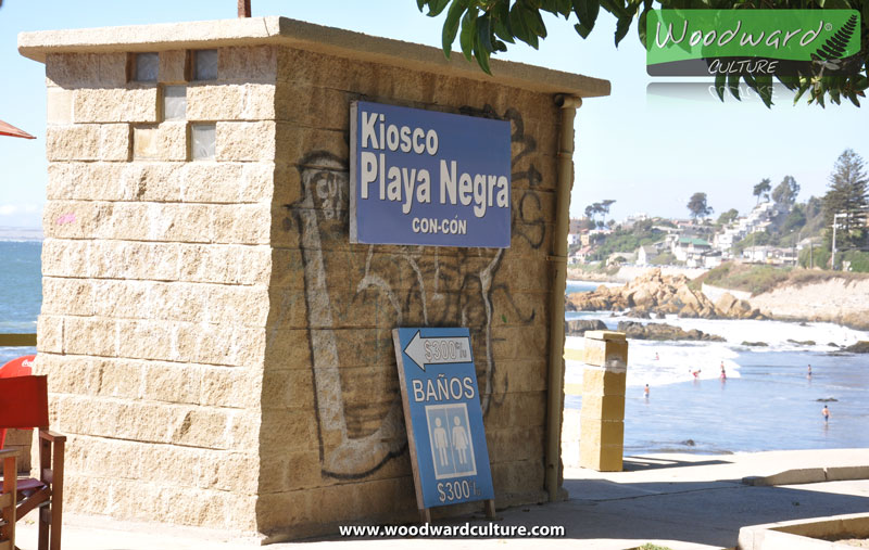 Baños Públicos | Public Restrooms Sign in Playa Negra, Concón, Chile | Woodward Culture