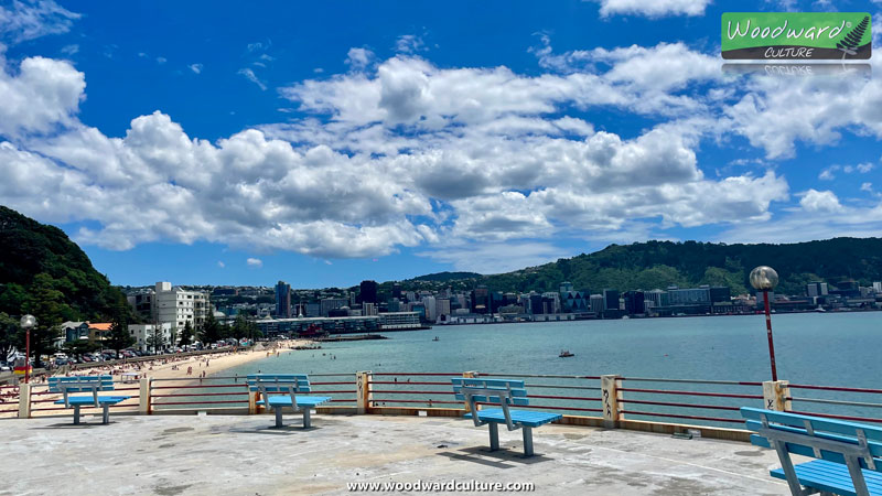 Band Rotunda rooftop view of Wellington, New Zealand - Woodward Culture Travel Guide