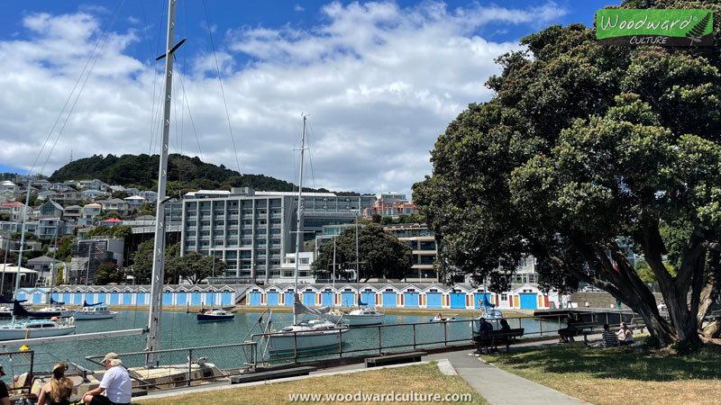 Blue boat sheds at Oriental Bay in Wellington New Zealand - Woodward Culture Travel Guide