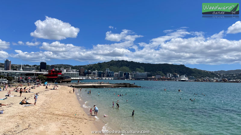 Oriental Bay Beach in Wellington New Zealand - Woodward Culture Travel Guide