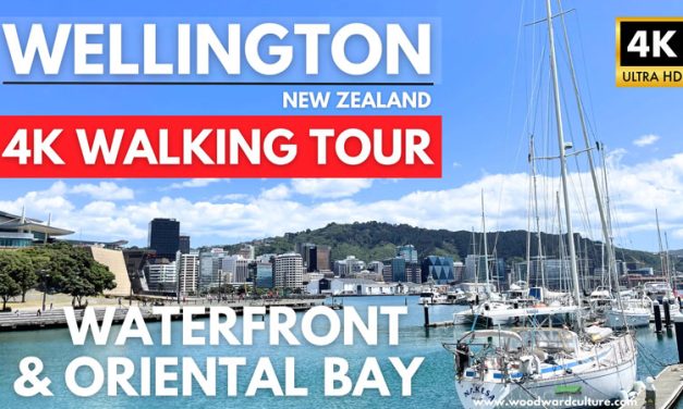 Wellington Waterfront and Oriental Bay Walk