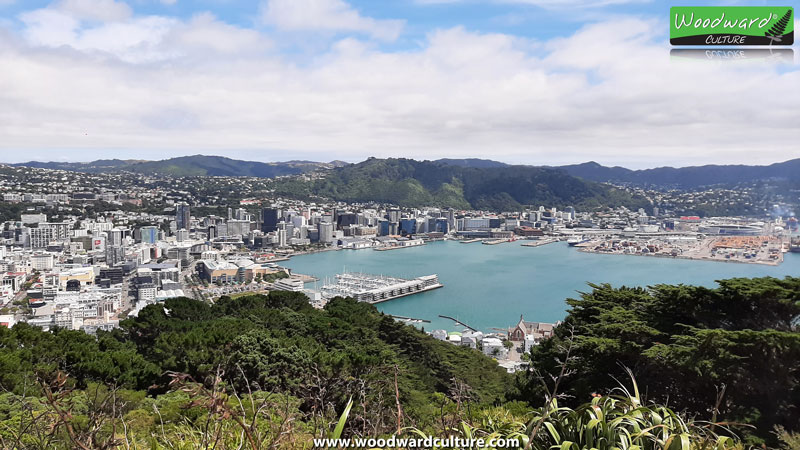 View of Wellington from the summit of Mount Victoria - Woodward Culture Travel Guide