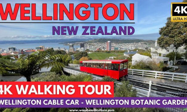 Wellington Cable Car & Wellington Botanic Gardens in Autumn