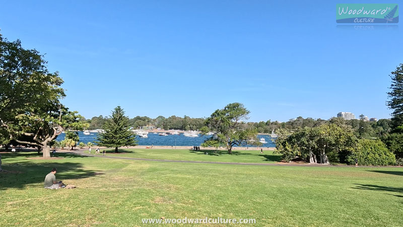 Harbour View from Royal Botanic Garden, Sydney Australia