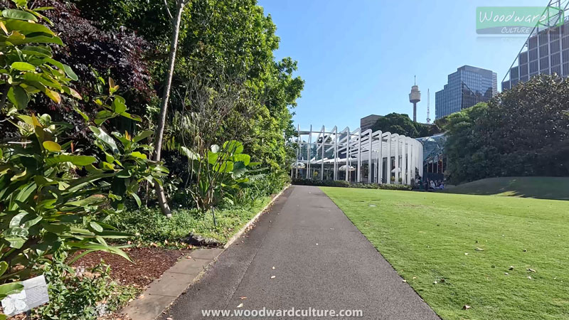 The Calyx at Royal Botanic Garden with the Sydney Tower in the background, Australia - Woodward Culture